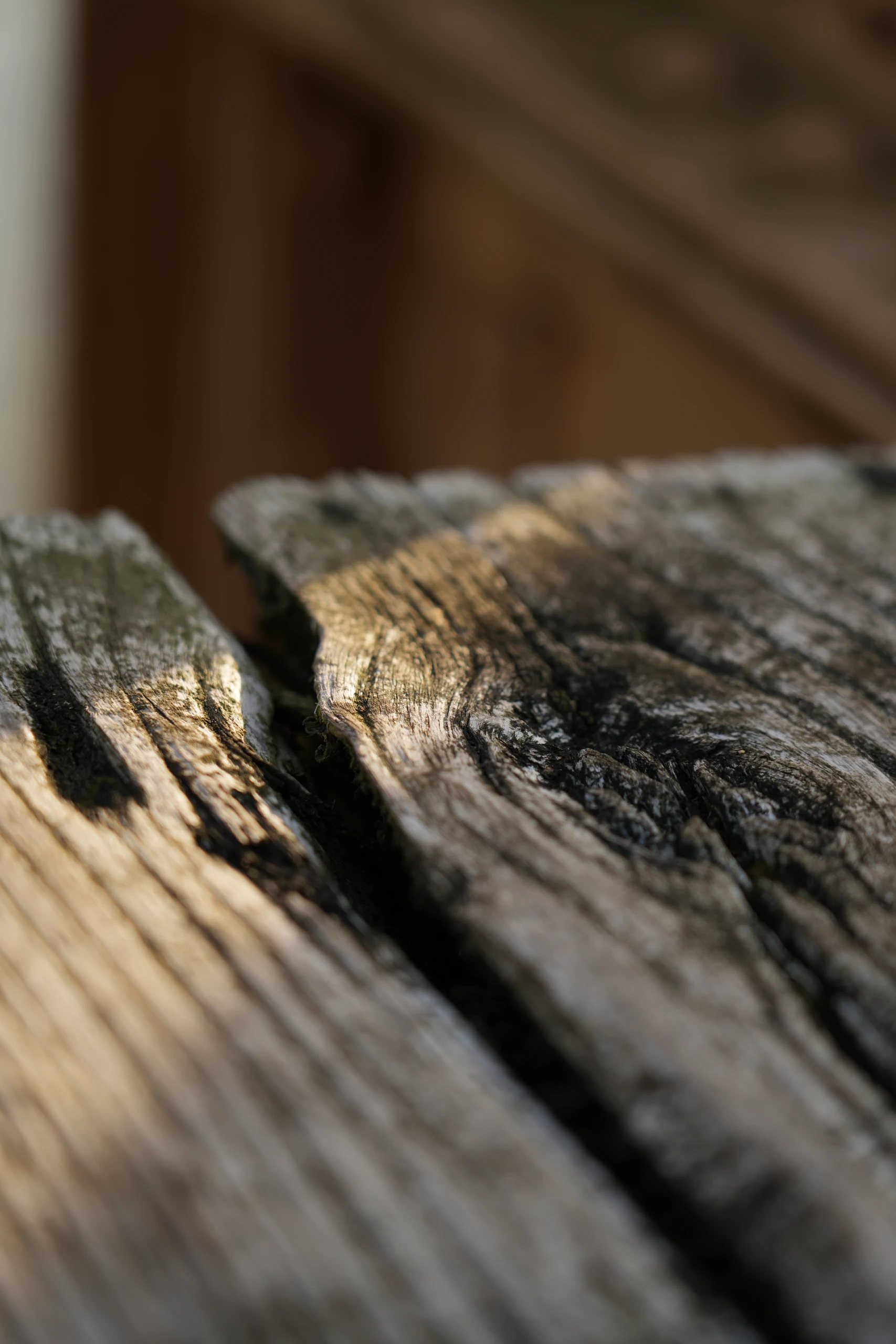 A cracked, weathered plank up close