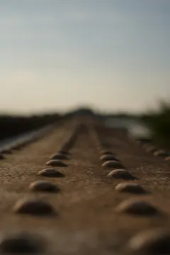 Rows of rivets on a steel beam of the bridge, the nearest ones in focus.