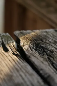 A cracked, weathered plank up close.